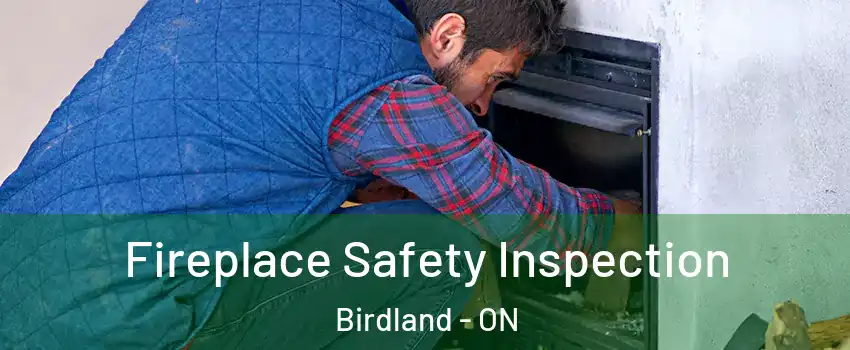  Fireplace Safety Inspection Birdland - ON