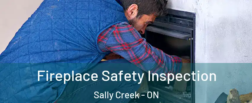Fireplace Safety Inspection Sally Creek - ON