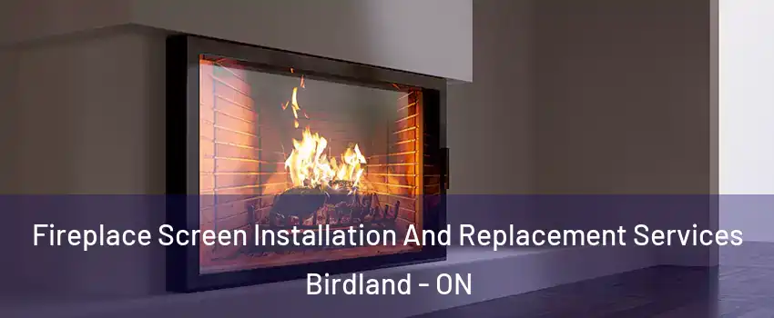 Fireplace Screen Installation And Replacement Services Birdland - ON
