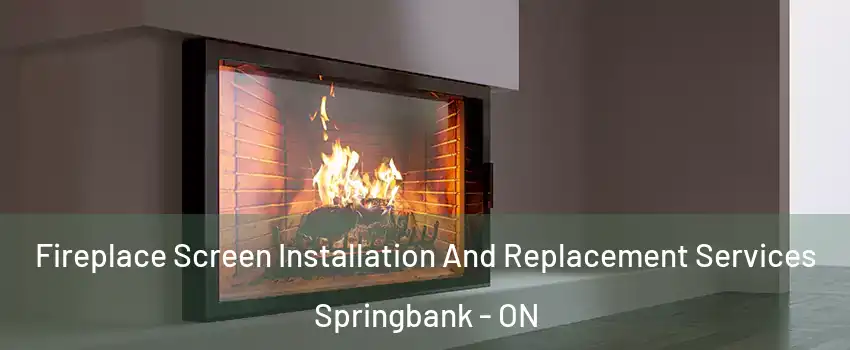 Fireplace Screen Installation And Replacement Services Springbank - ON