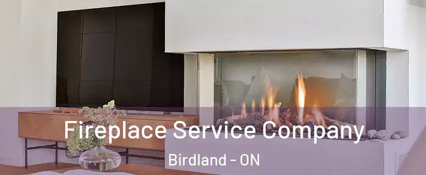  Fireplace Service Company Birdland - ON