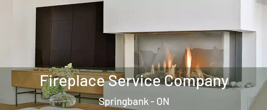  Fireplace Service Company Springbank - ON
