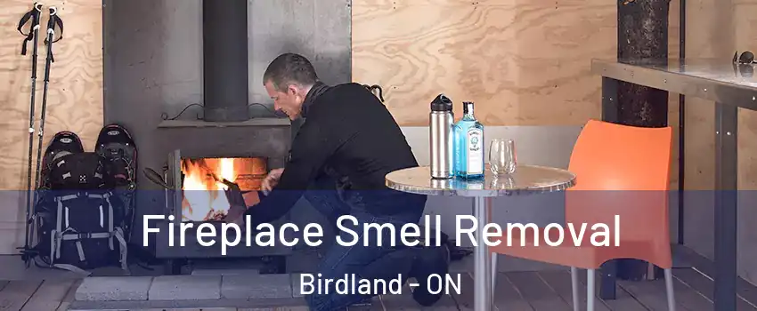  Fireplace Smell Removal Birdland - ON