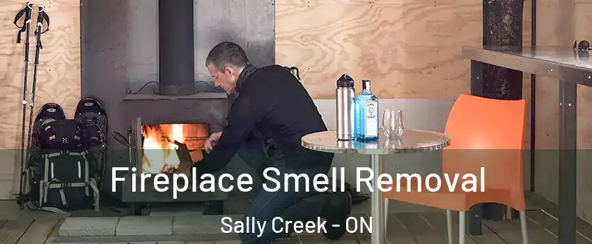 Fireplace Smell Removal Sally Creek - ON