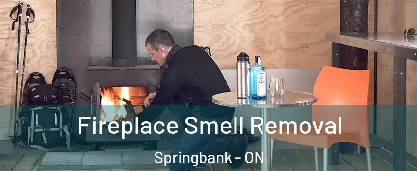  Fireplace Smell Removal Springbank - ON