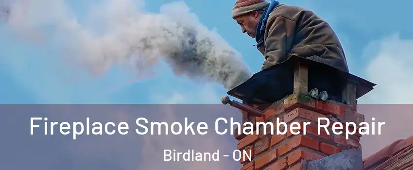  Fireplace Smoke Chamber Repair Birdland - ON