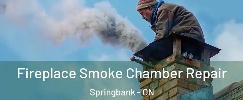  Fireplace Smoke Chamber Repair Springbank - ON