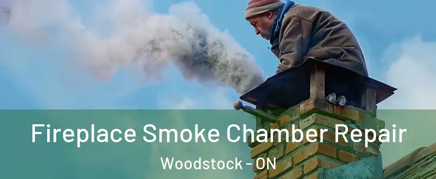  Fireplace Smoke Chamber Repair Woodstock - ON
