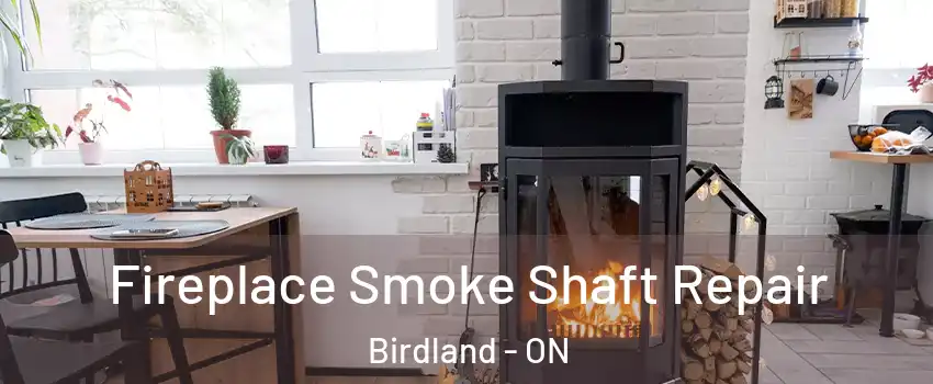  Fireplace Smoke Shaft Repair Birdland - ON