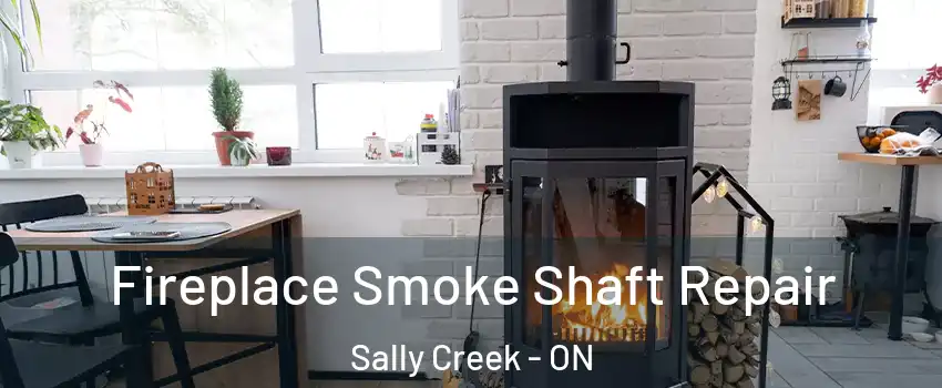  Fireplace Smoke Shaft Repair Sally Creek - ON