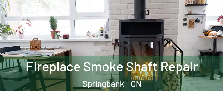  Fireplace Smoke Shaft Repair Springbank - ON