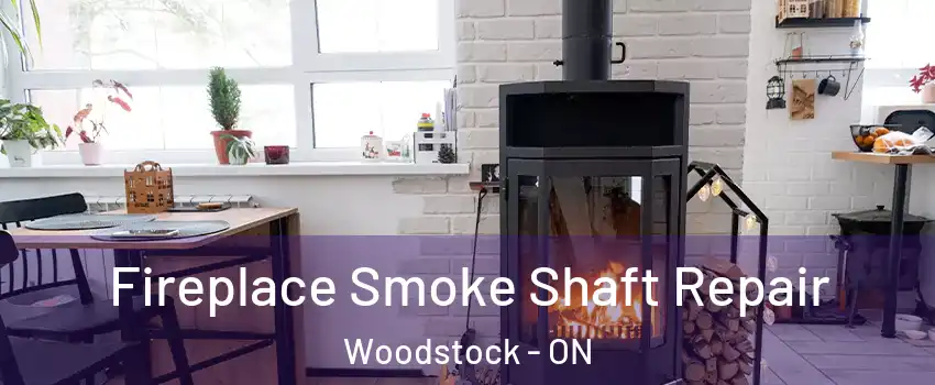 Fireplace Smoke Shaft Repair Woodstock - ON