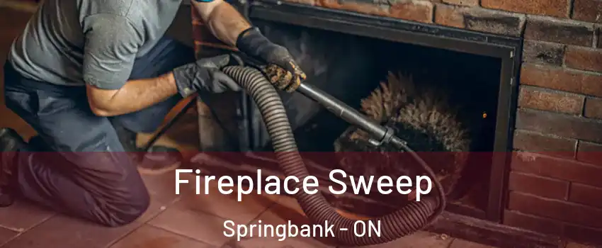  Fireplace Sweep Springbank - ON