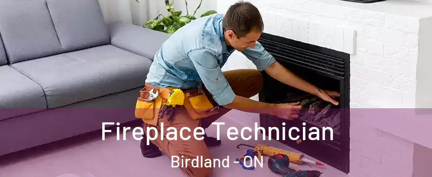 Fireplace Technician Birdland - ON