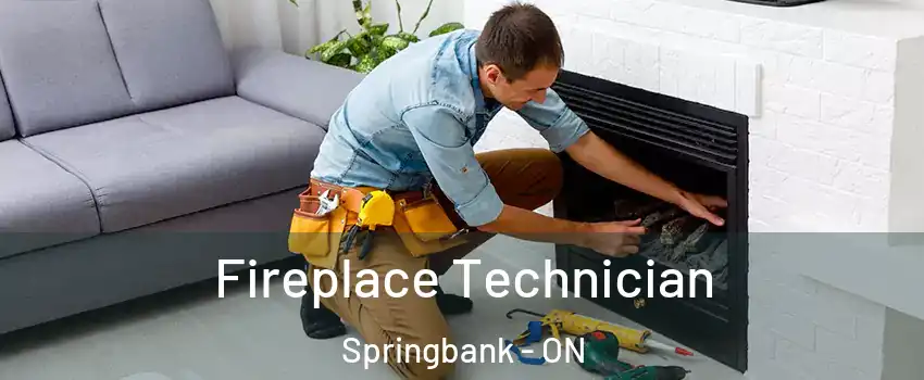 Fireplace Technician Springbank - ON