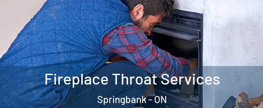  Fireplace Throat Services Springbank - ON