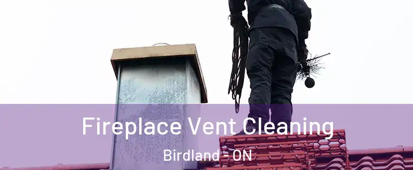 Fireplace Vent Cleaning Birdland - ON