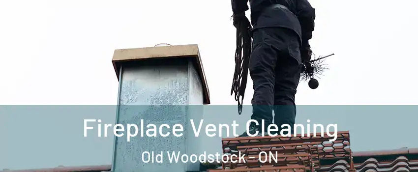  Fireplace Vent Cleaning Old Woodstock - ON