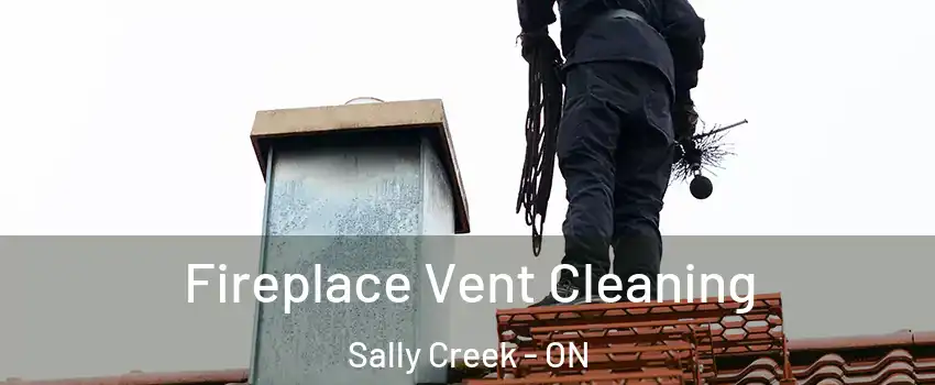  Fireplace Vent Cleaning Sally Creek - ON