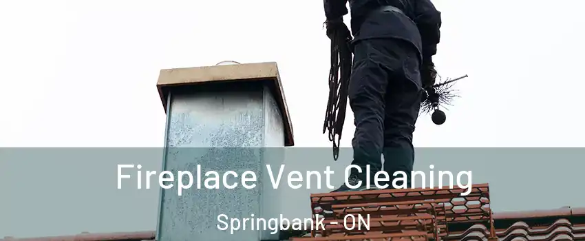  Fireplace Vent Cleaning Springbank - ON