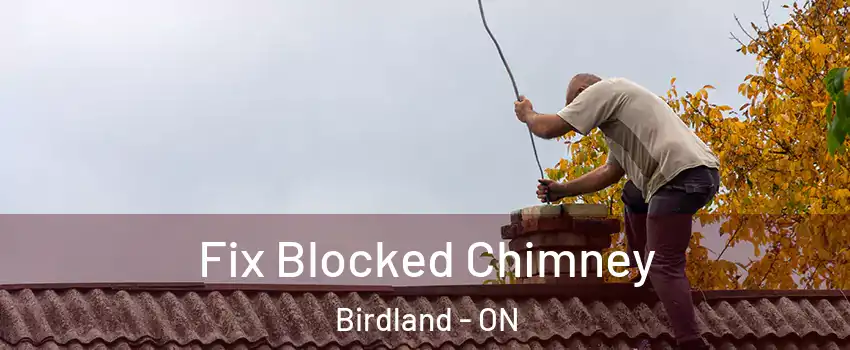  Fix Blocked Chimney Birdland - ON