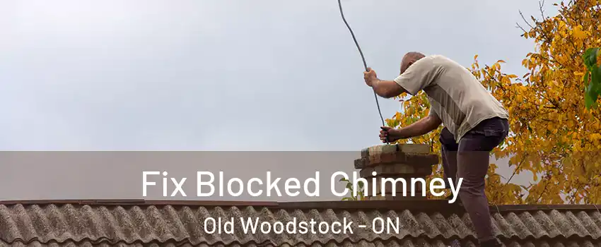  Fix Blocked Chimney Old Woodstock - ON