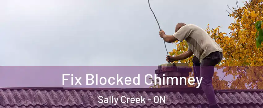  Fix Blocked Chimney Sally Creek - ON