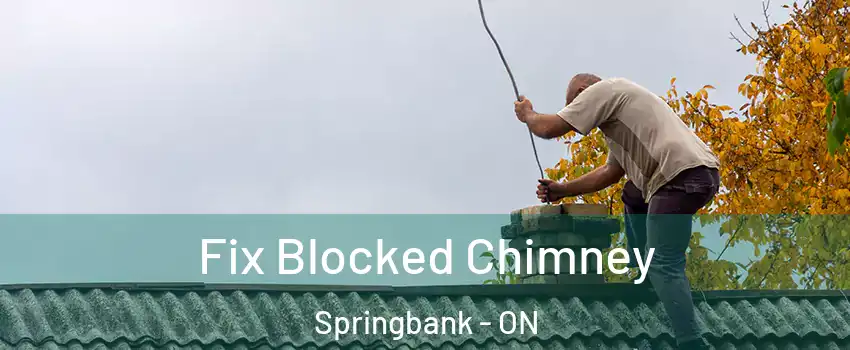  Fix Blocked Chimney Springbank - ON