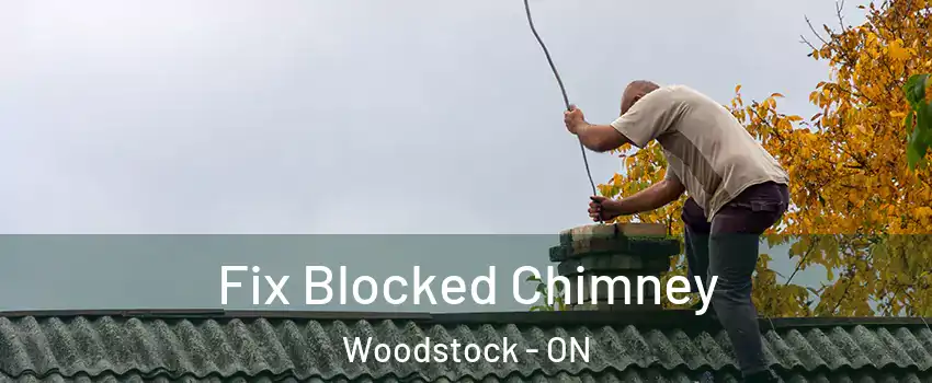  Fix Blocked Chimney Woodstock - ON