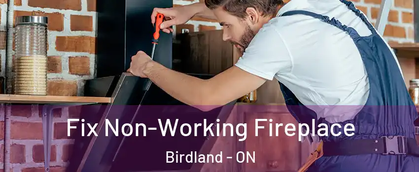  Fix Non-Working Fireplace Birdland - ON