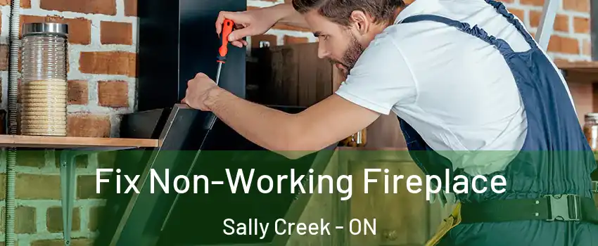  Fix Non-Working Fireplace Sally Creek - ON
