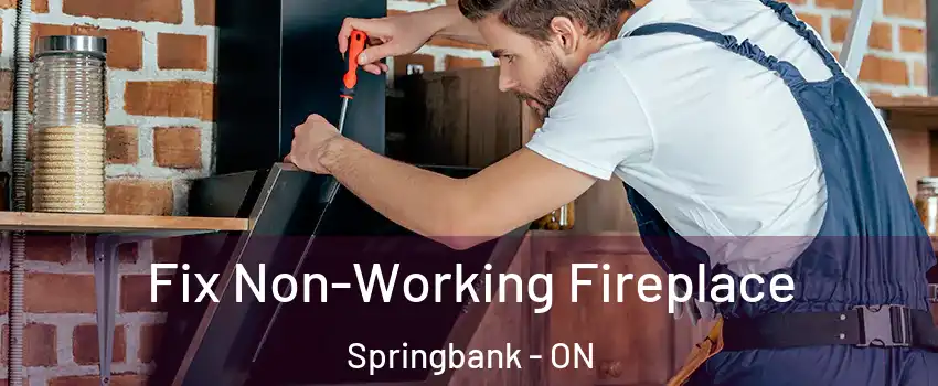  Fix Non-Working Fireplace Springbank - ON