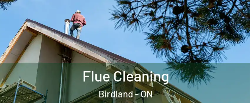  Flue Cleaning Birdland - ON