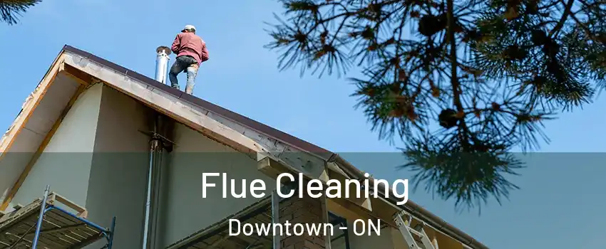  Flue Cleaning Downtown - ON