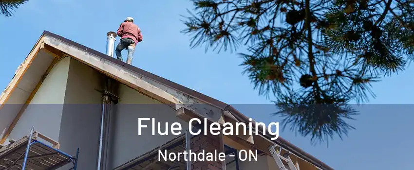  Flue Cleaning Northdale - ON