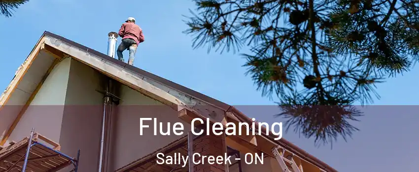  Flue Cleaning Sally Creek - ON