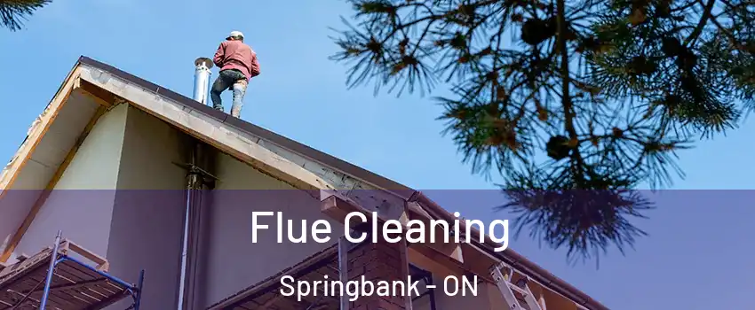  Flue Cleaning Springbank - ON
