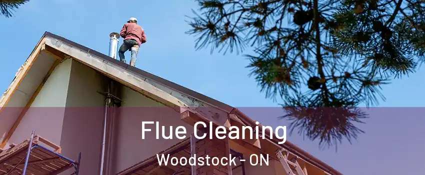  Flue Cleaning Woodstock - ON