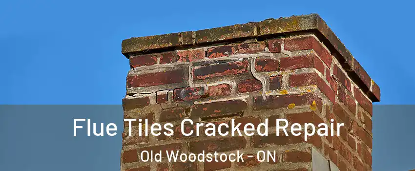  Flue Tiles Cracked Repair Old Woodstock - ON