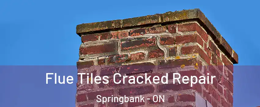  Flue Tiles Cracked Repair Springbank - ON