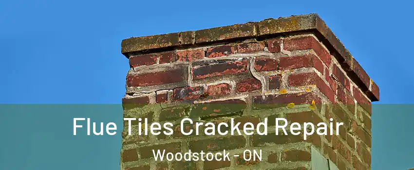  Flue Tiles Cracked Repair Woodstock - ON
