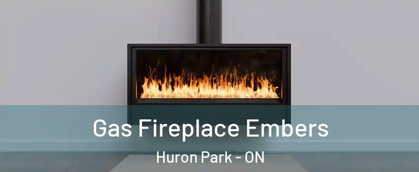  Gas Fireplace Embers Huron Park - ON