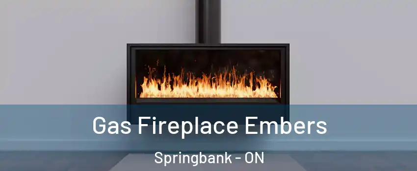  Gas Fireplace Embers Springbank - ON