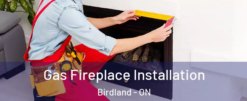  Gas Fireplace Installation Birdland - ON