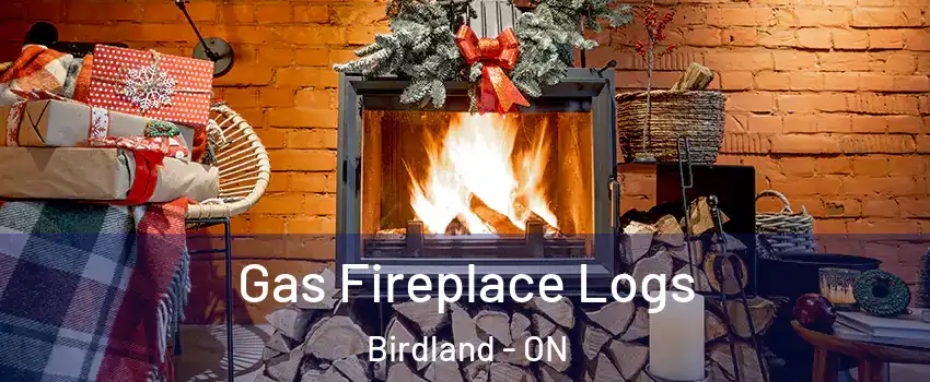  Gas Fireplace Logs Birdland - ON
