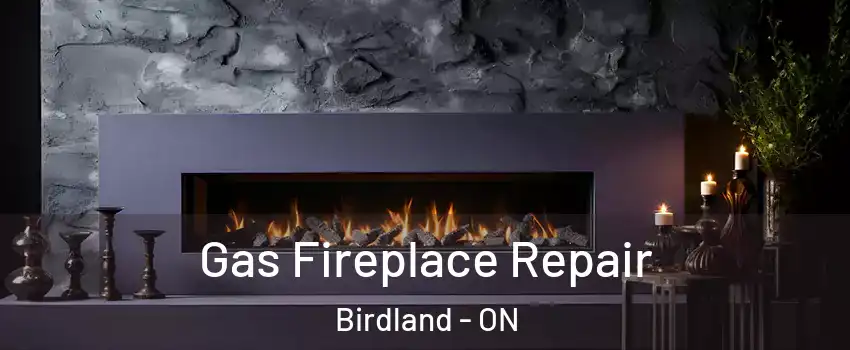  Gas Fireplace Repair Birdland - ON