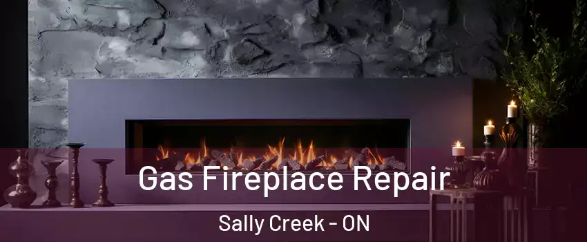  Gas Fireplace Repair Sally Creek - ON