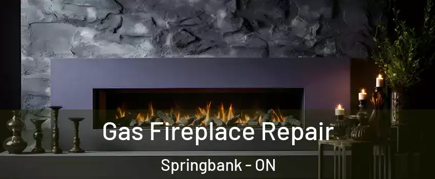  Gas Fireplace Repair Springbank - ON