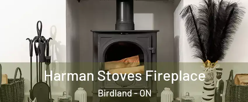  Harman Stoves Fireplace Birdland - ON