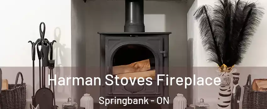 Harman Stoves Fireplace Springbank - ON